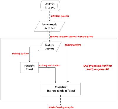k-Skip-n-Gram-RF: A Random Forest Based Method for Alzheimer's Disease Protein Identification